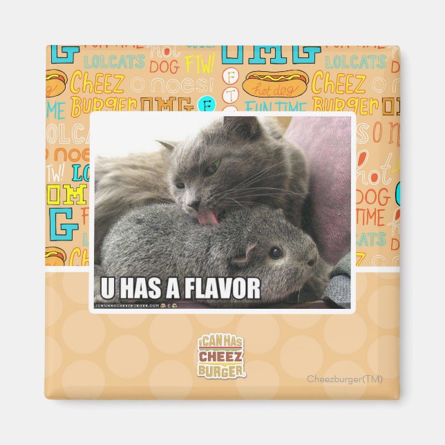 U HAS A FLAVOR MAGNET (Front)
