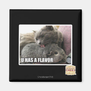 U HAS A FLAVOR MAGNET
