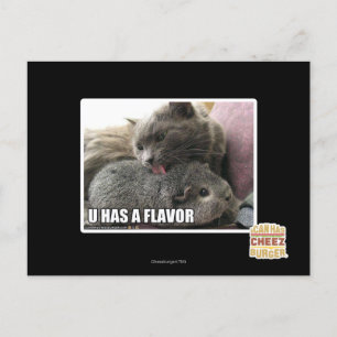 U HAS A FLAVOR POSTCARD