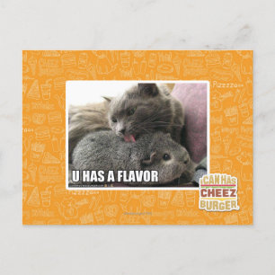 U HAS A FLAVOR POSTCARD