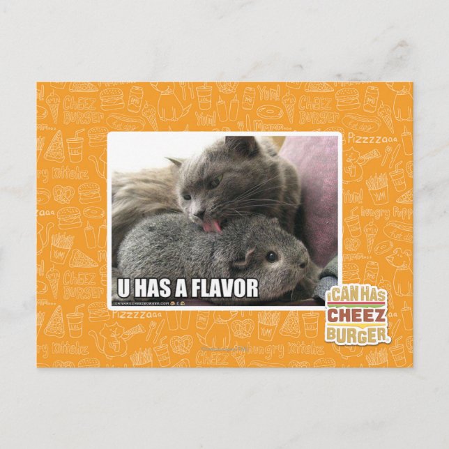 U HAS A FLAVOR POSTCARD (Front)