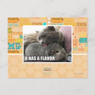 U HAS A FLAVOR POSTCARD