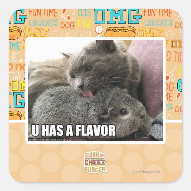 U HAS A FLAVOR SQUARE STICKER (Front)