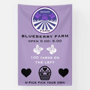 U-Pick Blueberry Farm Promotion Banner