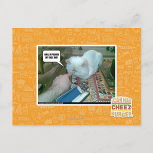 U pushed my face in! postcard