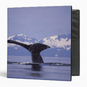 U.S.A., Alaska, Inside Passage Humpback whale Binder