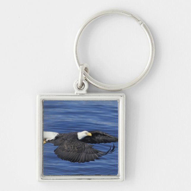 U.S.A., Alaska, Kenai Peninsula Bald eagle Keychain (Front)