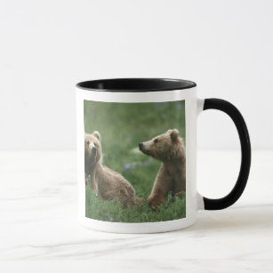 U.S.A., Alaska, Kodiak Two sub-adult brown bears Mug