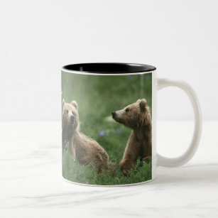U.S.A., Alaska, Kodiak Two sub-adult brown bears Two-Tone Coffee Mug