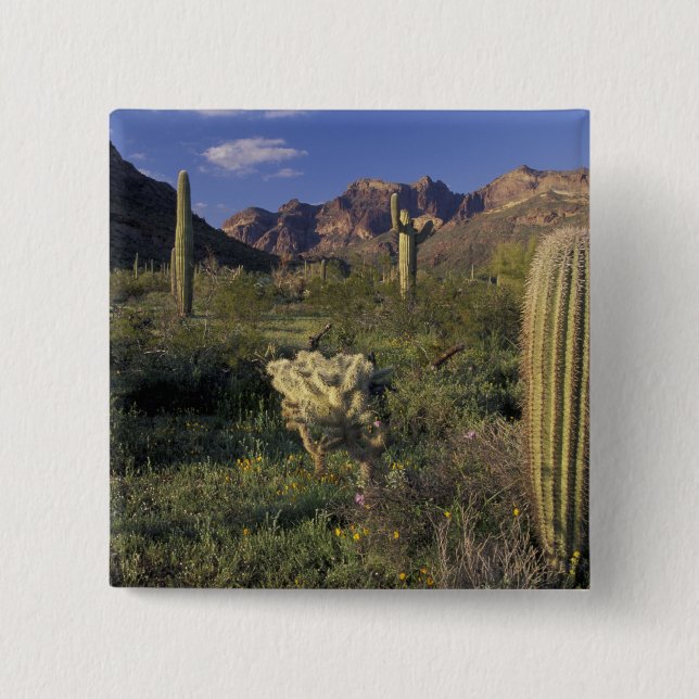 U.S.A., Arizona, Organ Pipe National Monument. 2 Inch Square Button (Front)