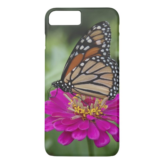 U.S.A., Massachusetts, Boylston, Tower Hill Case-Mate iPhone Case (Back)