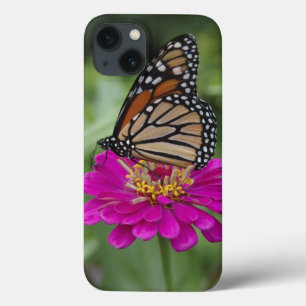 U.S.A., Massachusetts, Boylston, Tower Hill iPhone 13 Case