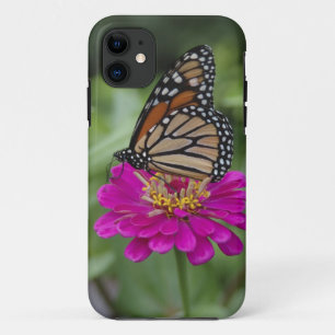 U.S.A., Massachusetts, Boylston, Tower Hill iPhone 11 Case