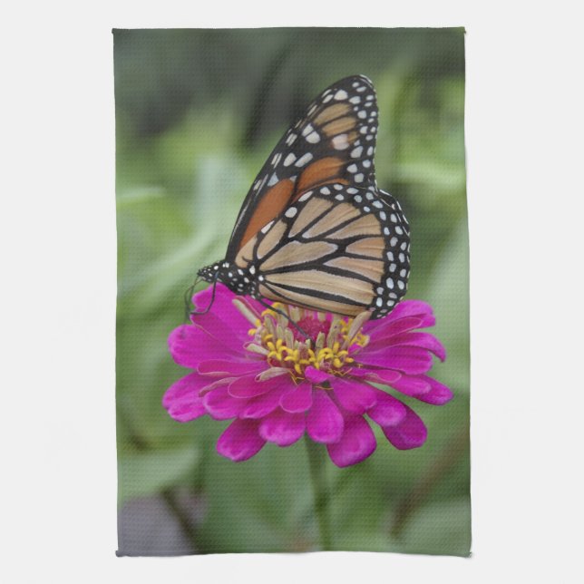 U.S.A., Massachusetts, Boylston, Tower Hill Kitchen Towel (Vertical)