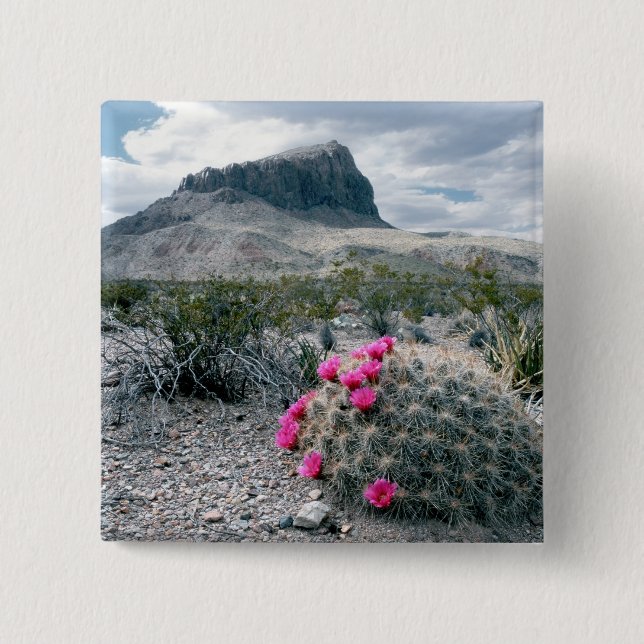 U.S.A., Texas, Big Bend National Park. Blooming 2 Inch Square Button (Front)