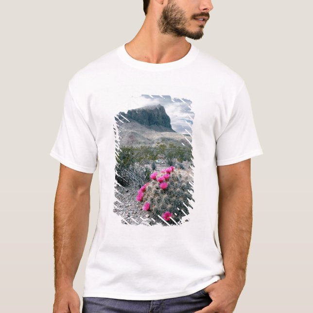 U.S.A., Texas, Big Bend National Park. Blooming T-Shirt (Front)