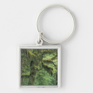U.S.A., Washington, Olympic National Park. Keychain
