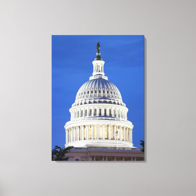 U.S. Capitol dome Canvas Print (Front)