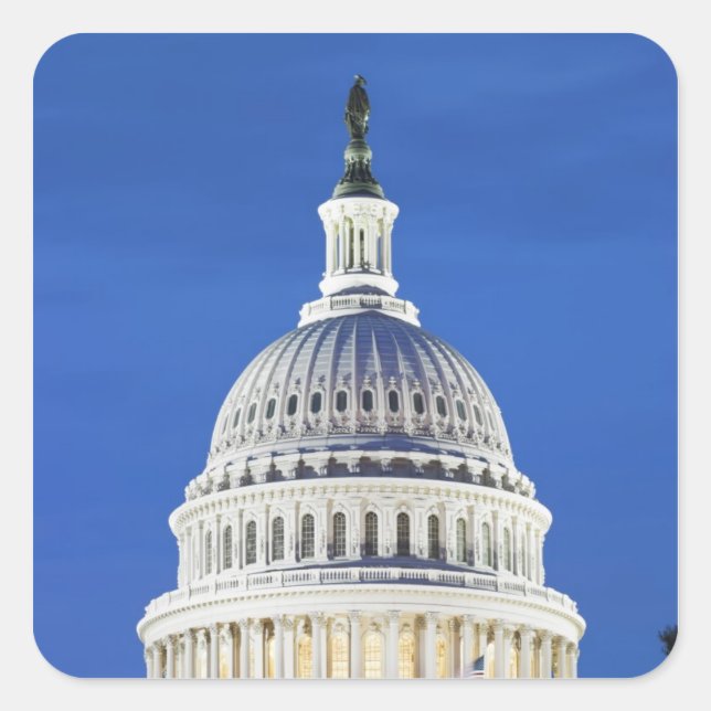 U.S. Capitol dome Square Sticker (Front)