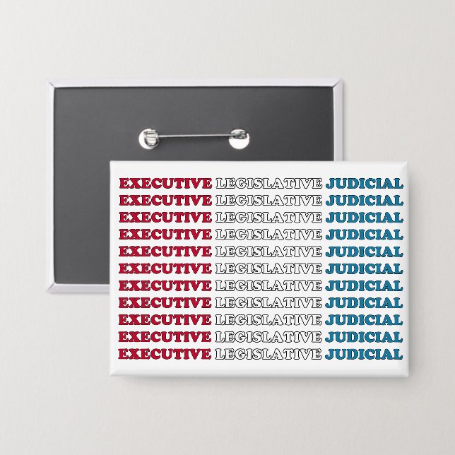 U.S. Checks & Balances (Front/Back)