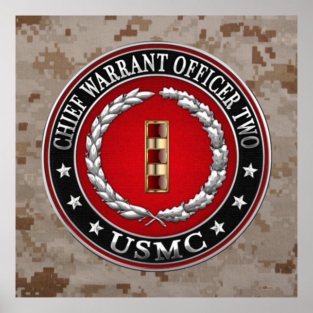 U.S. Marines: Chief Warrant Two (USMC CWO-2) [3D] Poster (Front)