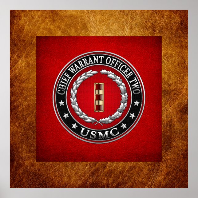 U.S. Marines: Chief Warrant Two (USMC CWO-2) [3D] Poster (Front)