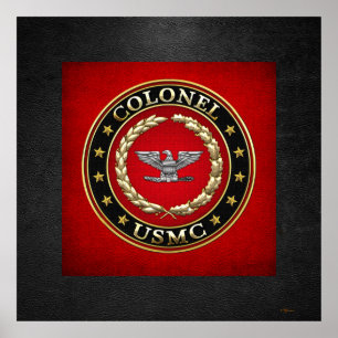 U.S. Marines: Colonel (USMC Col) [3D] Poster