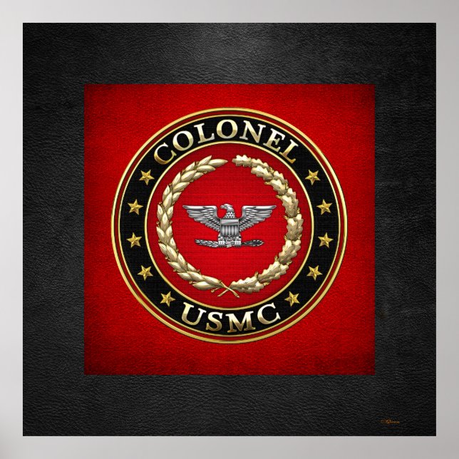 U.S. Marines: Colonel (USMC Col) [3D] Poster (Front)