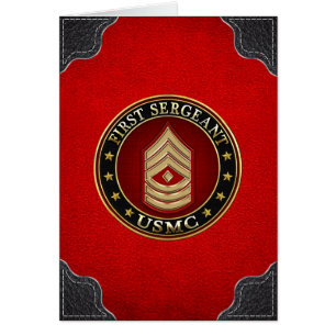 U.S. Marines: First Sergeant (USMC 1stSgt) [3D]