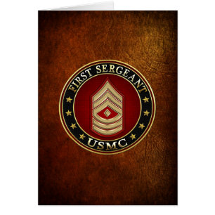 U.S. Marines: First Sergeant (USMC 1stSgt) [3D]