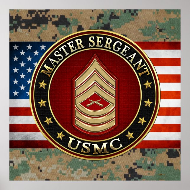 U.S. Marines: Master Sergeant (USMC MSgt) [3D] Poster (Front)