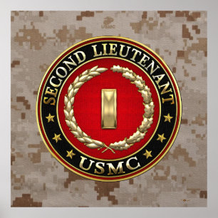 U.S. Marines: Second Lieutenant (USMC 2ndLt) [3D] Poster