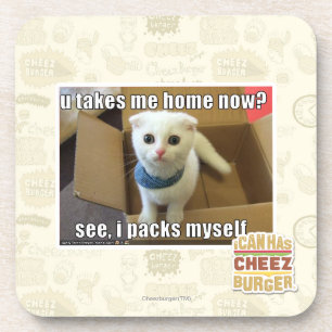U take me home now? coaster