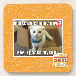 U take me home now? coaster
