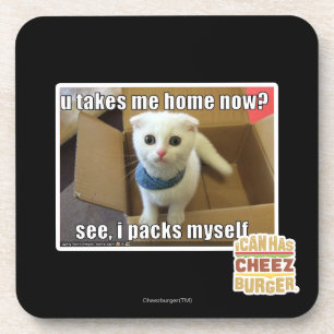 U take me home now? coaster