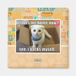 U take me home now? magnet