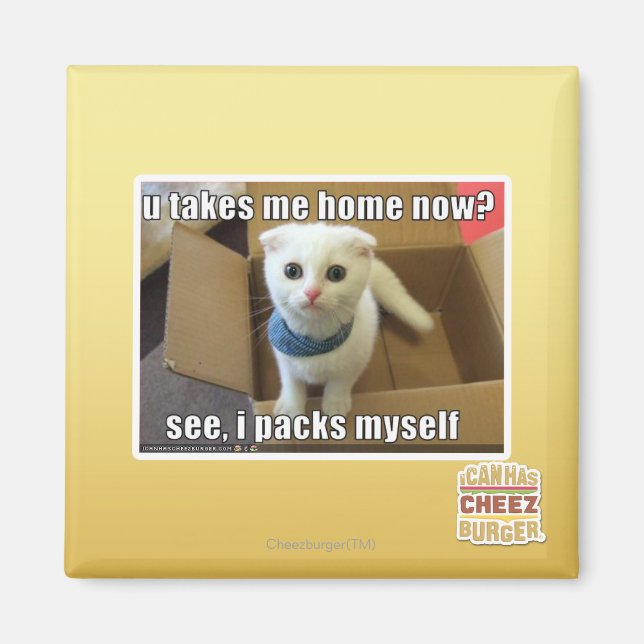 U take me home now? magnet (Front)