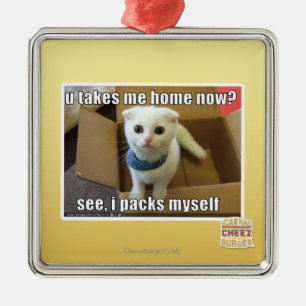 U take me home now? metal ornament