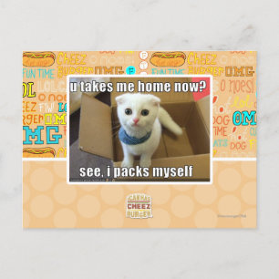 U take me home now? postcard