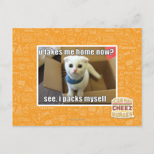 U take me home now? postcard