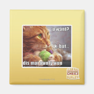 U want? magnet