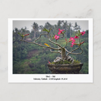 Ubud, Bali Indonésie Carte postale de voyage de va