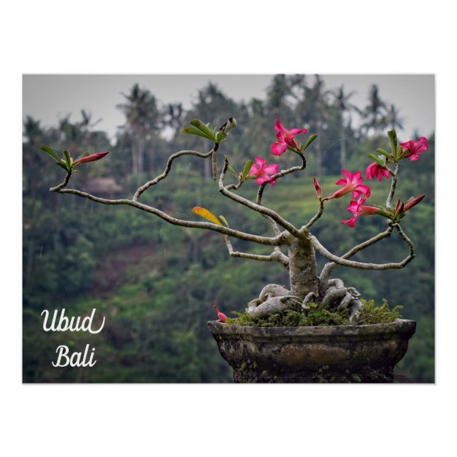 Ubud Travel, Bali Travel Poster (Front)
