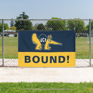UC Irvine   UCI Anteaters Banner