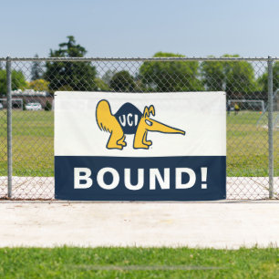 UC Irvine   UCI Anteaters Banner