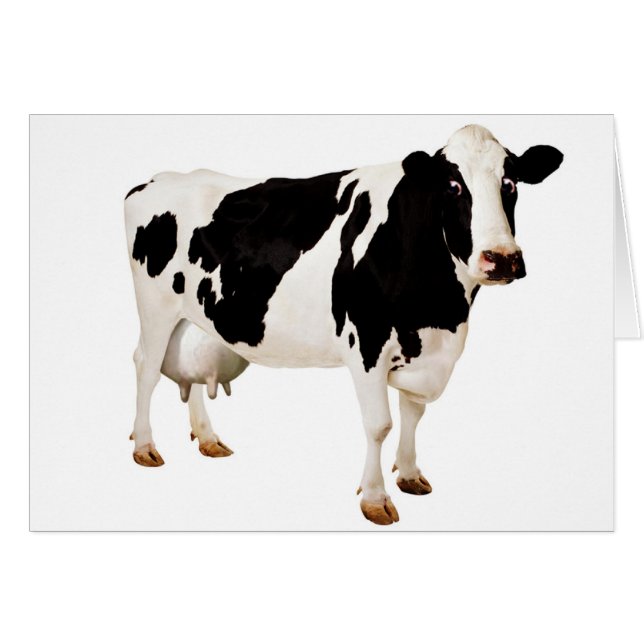 Udder Nonsense (Front Horizontal)