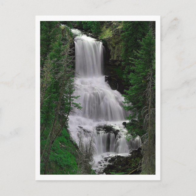 Udine Falls, Yellowstone Park, Wyoming Postcard (Front)