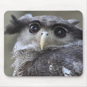 Ueno, Taitoh-ku, Tokyo, Japan 2 Mouse Pad