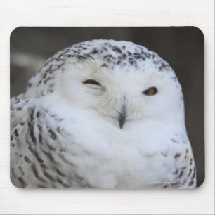 Ueno, Taitoh-ku, Tokyo, Japan Mouse Pad
