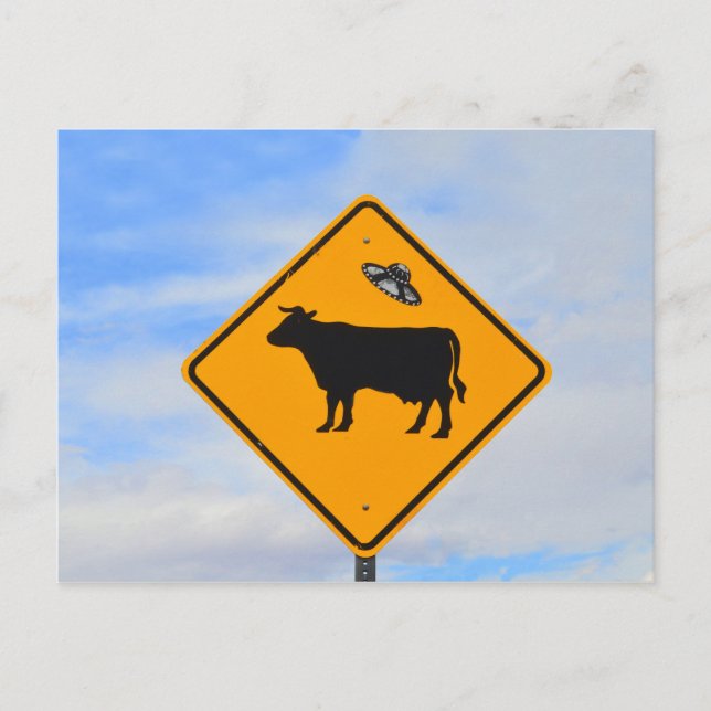 UFO Cattle Crossing Sign in New Mexico Postcard (Front)